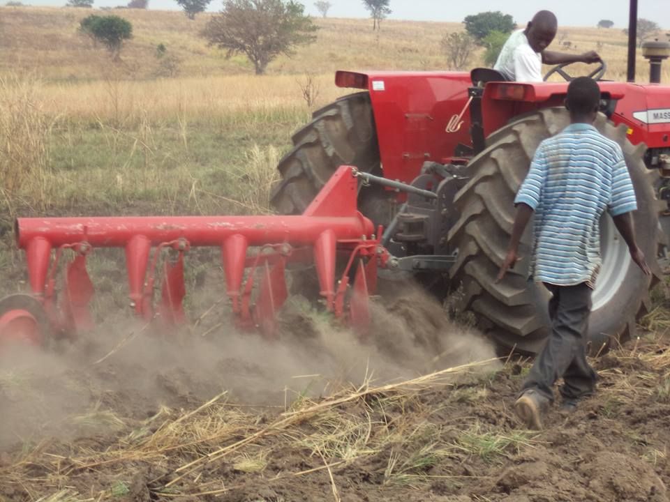 3disc plough farming tractors massey