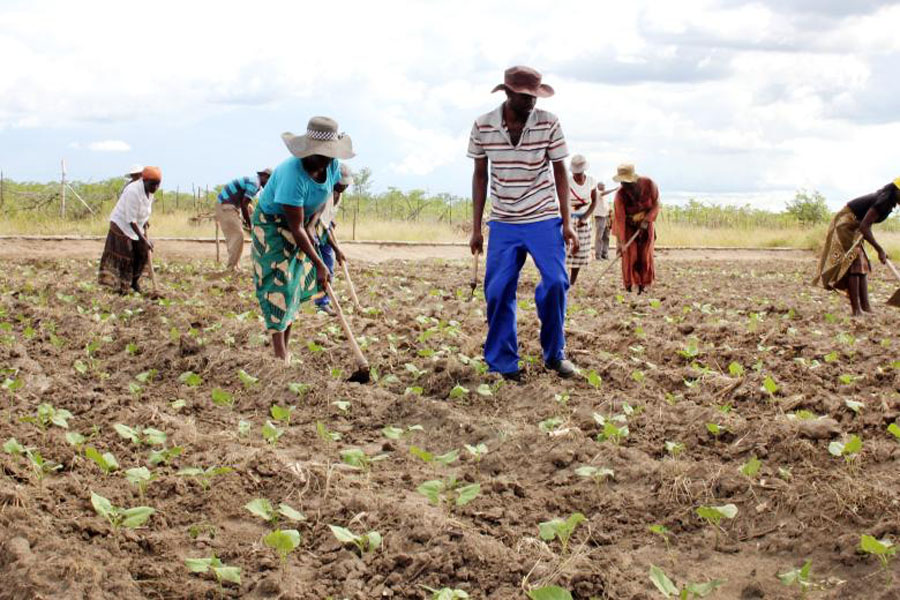 Providing Agricultural Inputs In The DRC Brand New Massey Ferguson 