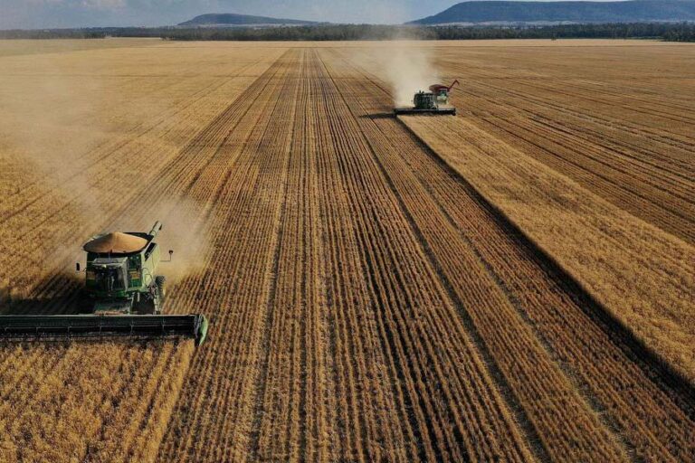 Agricultural Modernization and Structural Change Options in the Democratic Republic of Congo